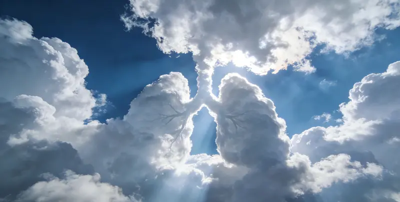 商丘肺癌（EGFR T790M)突变检测图片1