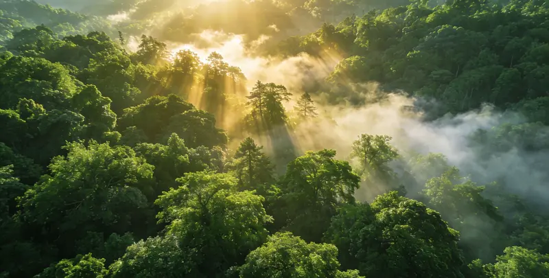商丘肺癌11基因检测组织版图片1