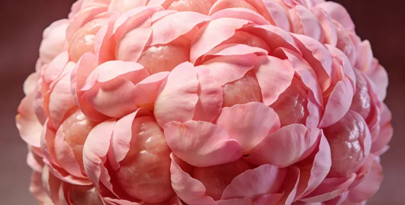 商丘BRCA1/2乳腺癌卵巢癌基因检测图片1