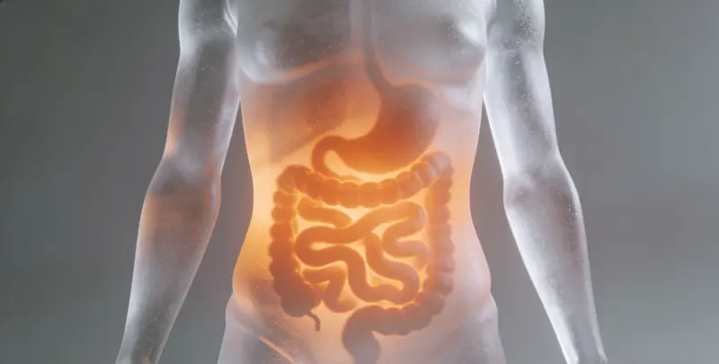 商丘肠癌甲基化检测图片1